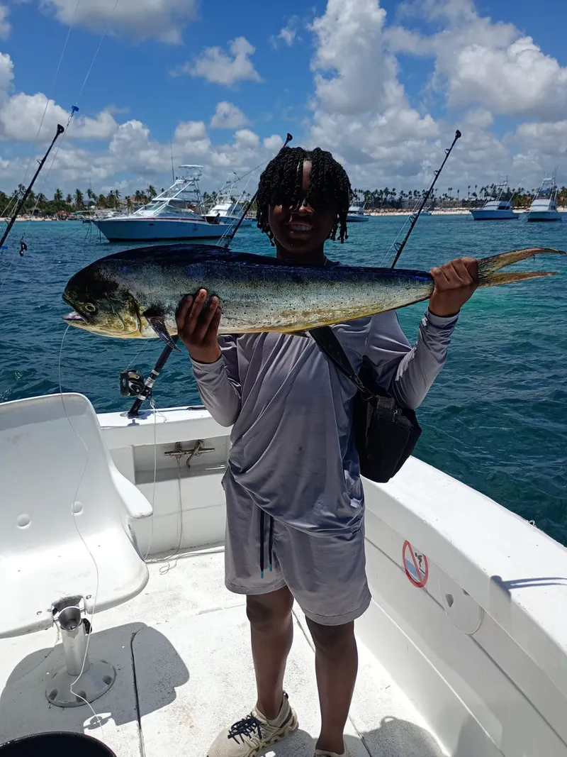 Fishing trip Punta Cana - Mahi Mahi hooked on Gone Fishing charter