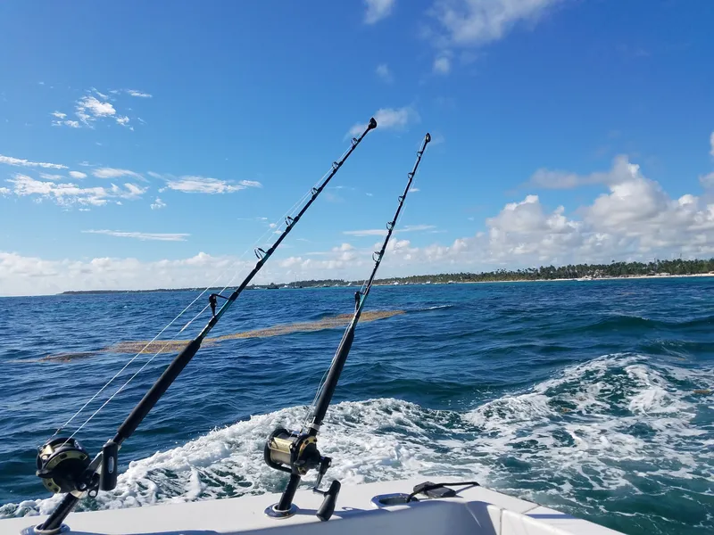 Tight lines on Gone Fishing charters