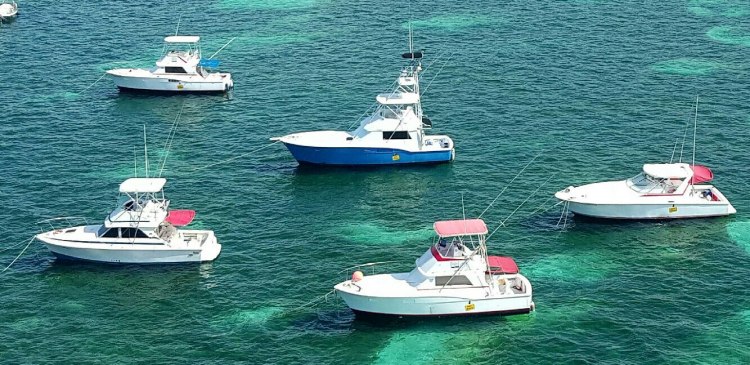 Punta Cana Private and Shared Deep Sea Charters Gone Fishing Dominican Republic